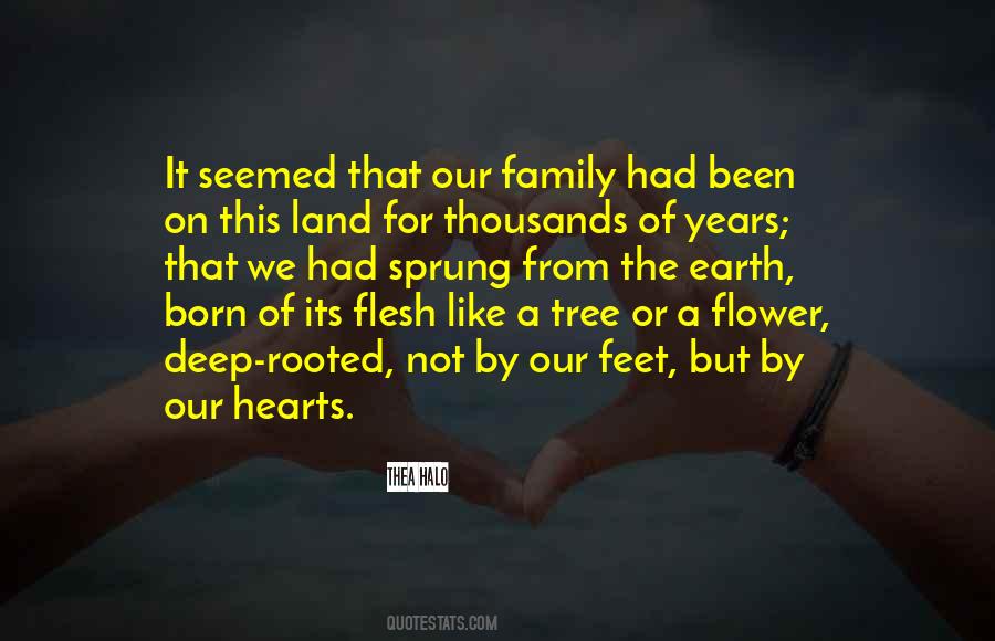 Quotes About The Family Tree #1402729