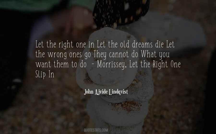 Old Dreams Quotes #1110499