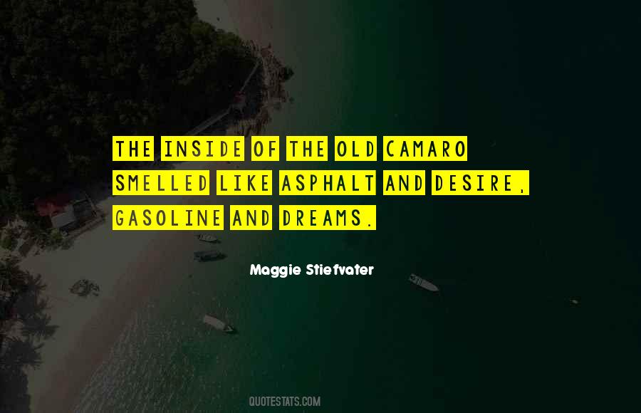 Old Dreams Quotes #252552