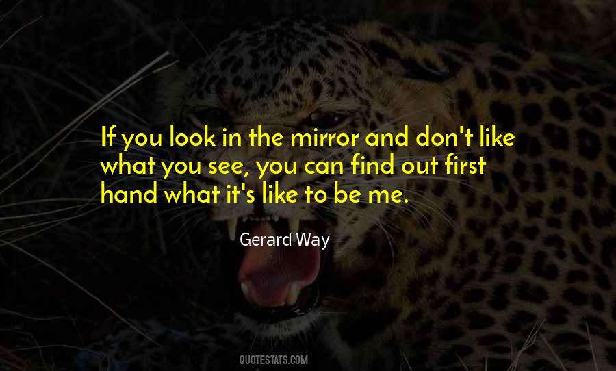 Quotes About What You See In The Mirror #1190100