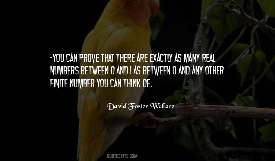 Quotes About Real Numbers #1474775