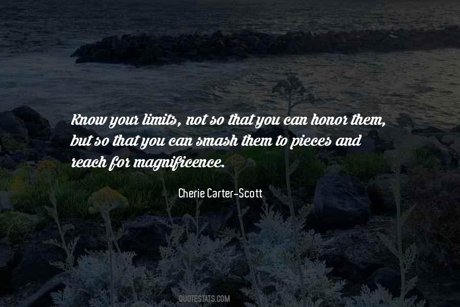 Quotes About Know Your Limits #603572