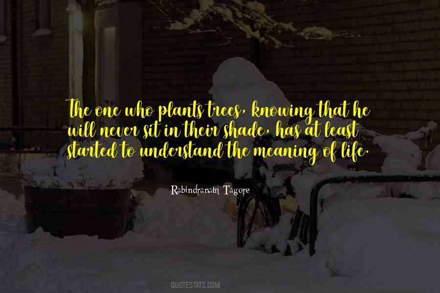 Meaning In Life Quotes #16924