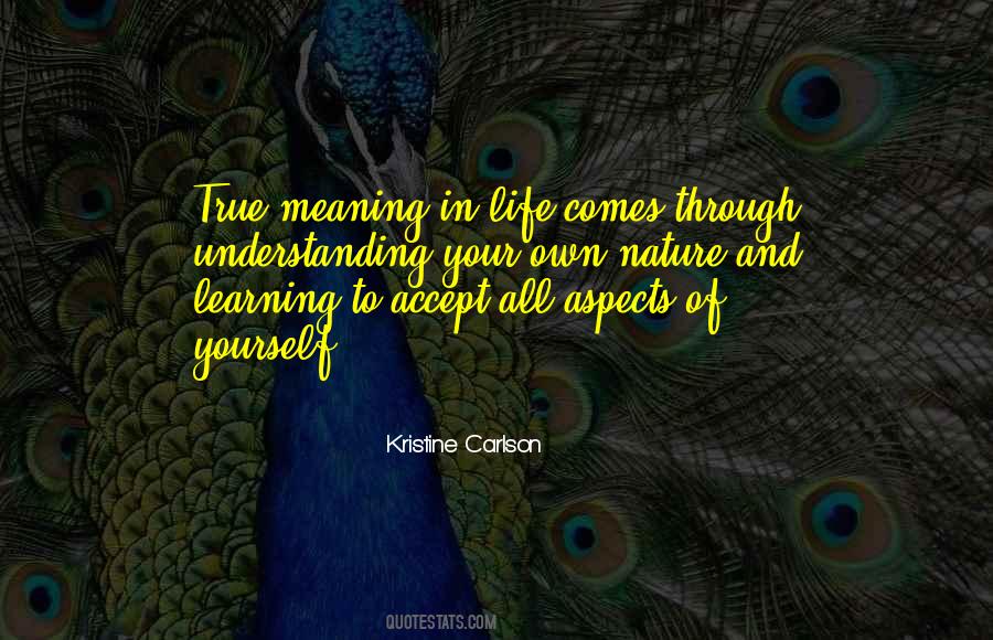 Meaning In Life Quotes #1876350