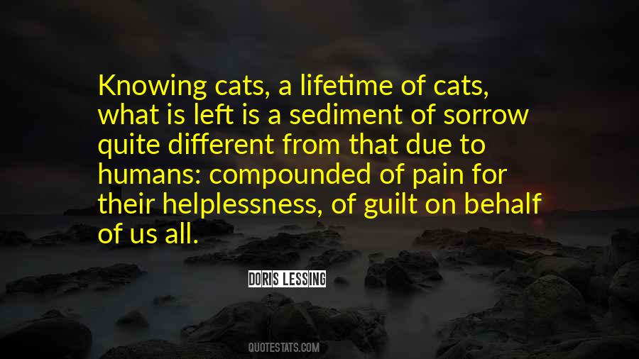 Quotes About Cats And Humans #1417291