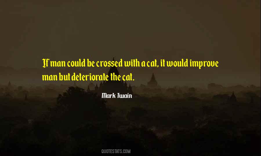 Quotes About Cats And Humans #1832419