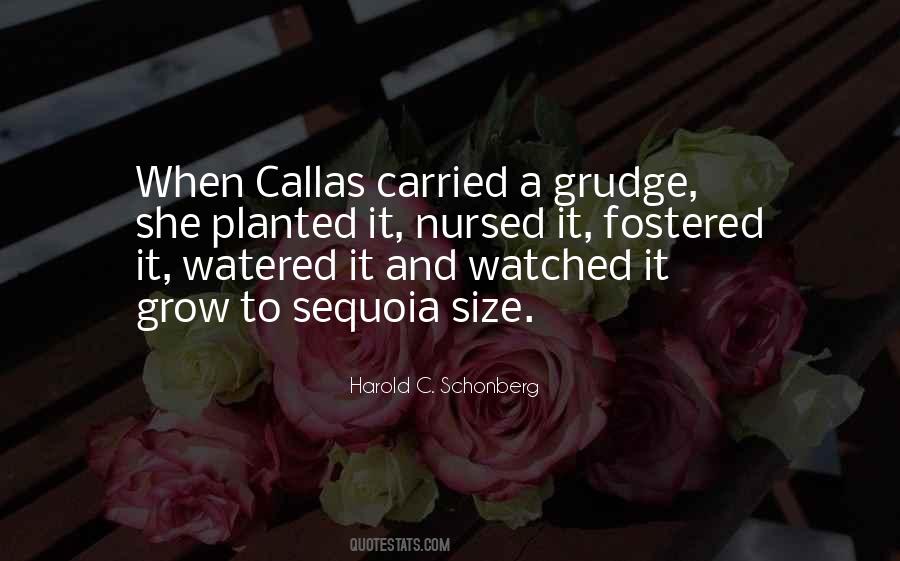 Quotes About Callas #1543499