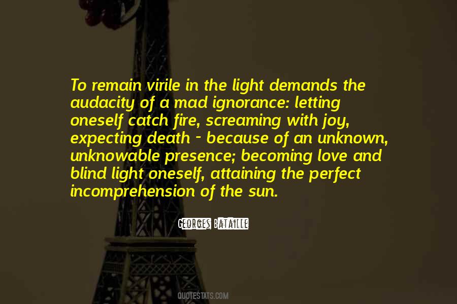 Unknown And Unknowable Quotes #1811949