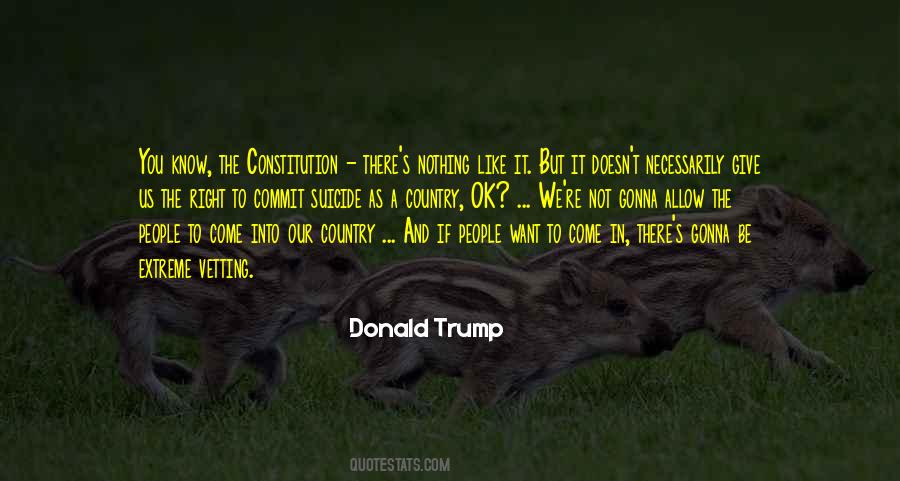 Quotes About Us Constitution #182777