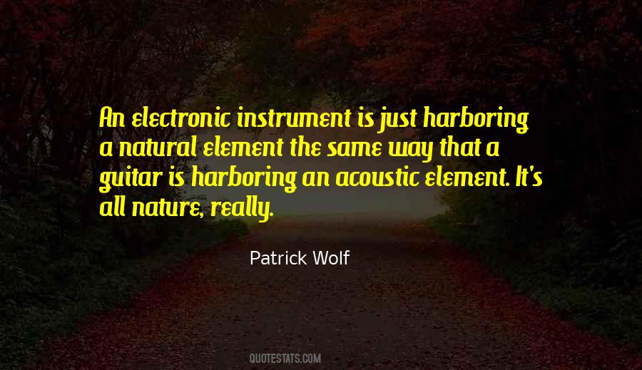 Quotes About Acoustic Guitar #194805