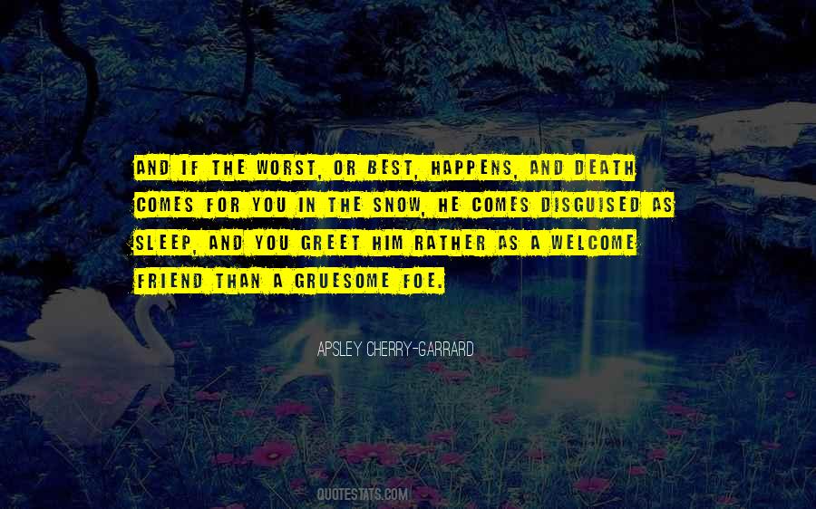Quotes About My Best Friend Dying #1076690