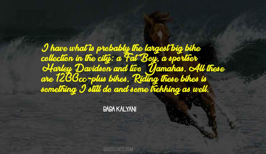 Riding Your Bike Quotes #428342