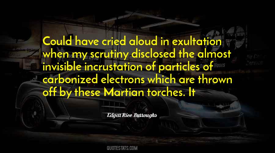 Quotes About Scrutiny #1862234