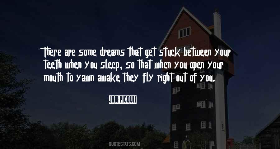 Quotes About Dreams When You Sleep #1763894