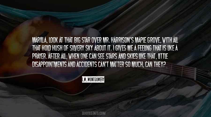 Quotes About Disappointments #1037278