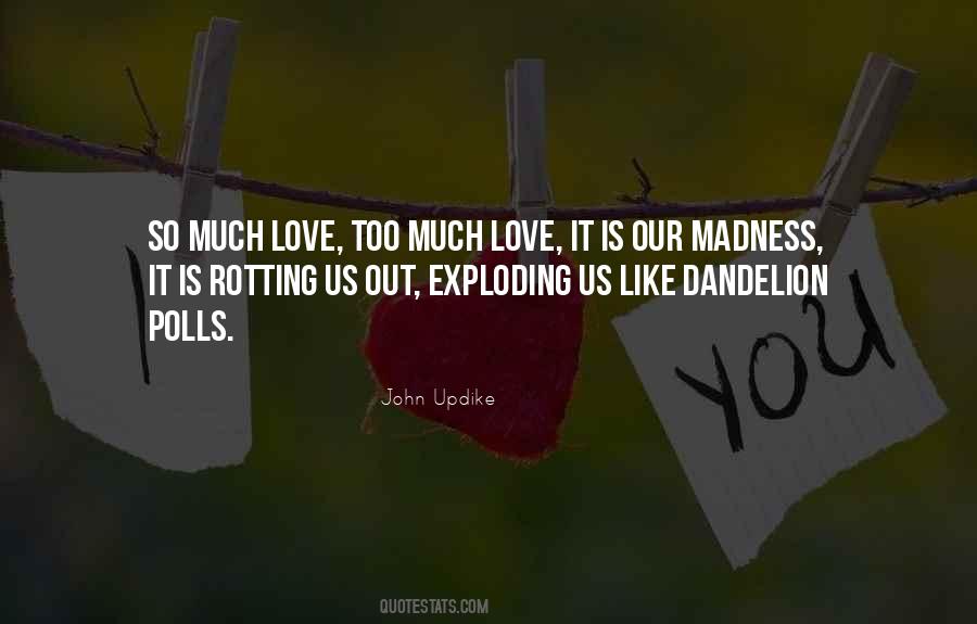 Love Too Much Quotes #185220