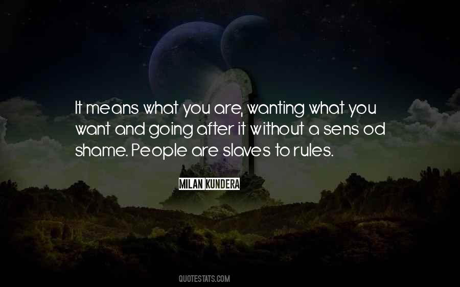 Quotes About Going After What You Want #1384403