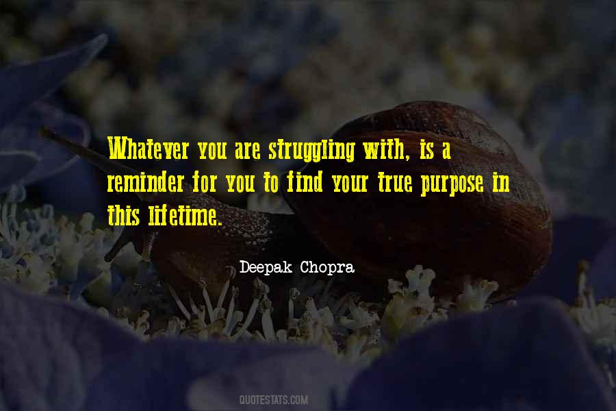 I Would Find You In Any Lifetime Quotes #578741