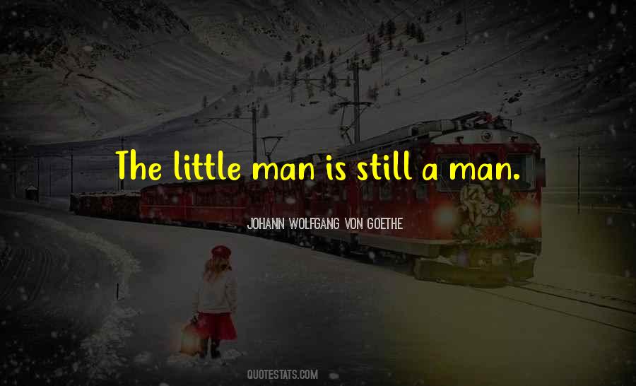 Little Man Quotes #176210