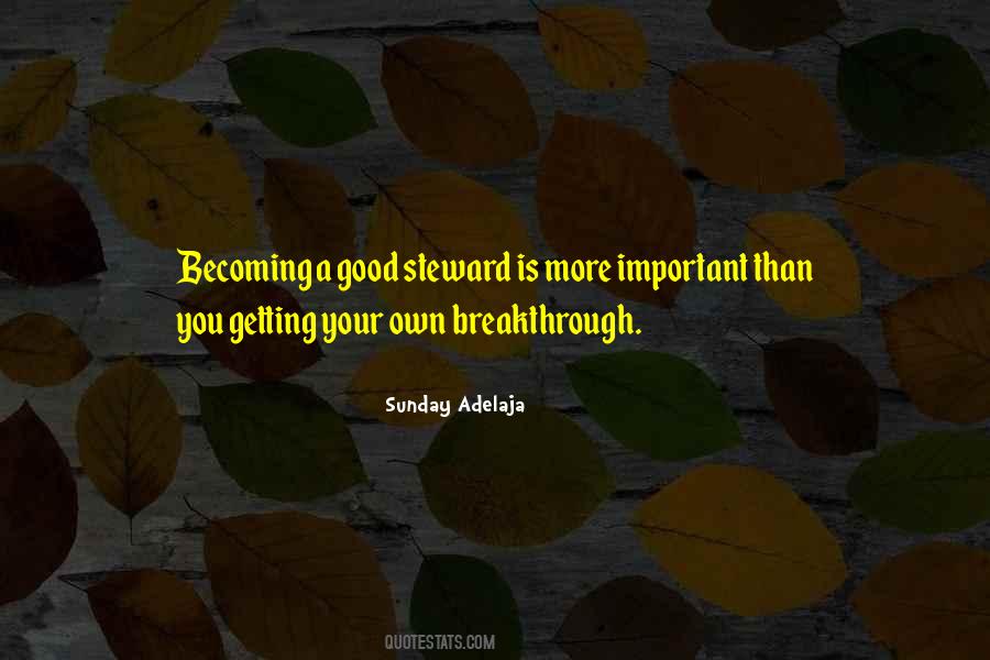 Good Stewardship Quotes #232516