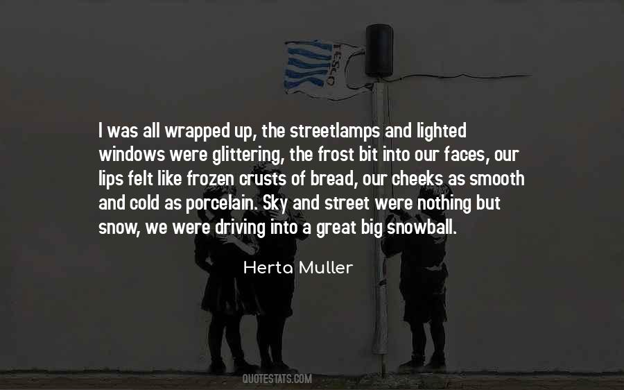 Quotes About Driving In The Snow #1427212