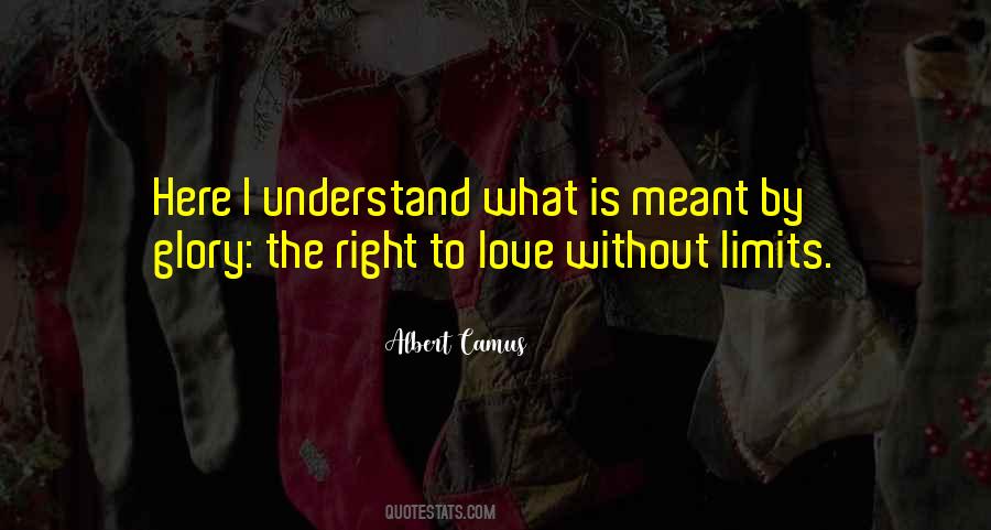 Quotes About Right To Love #96536