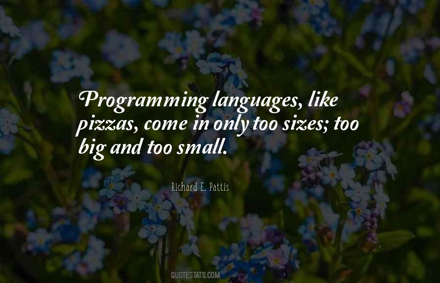 Quotes About Programming Languages #346943