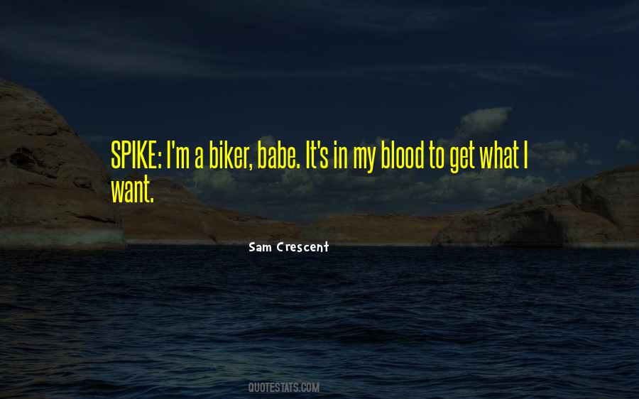 Quotes About A Biker #253133