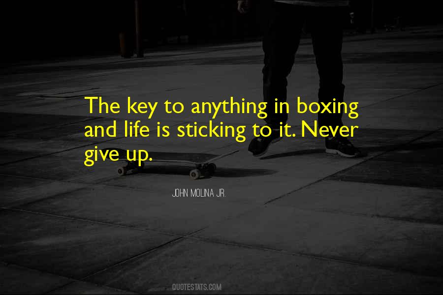 Quotes About Never Giving Up #139508