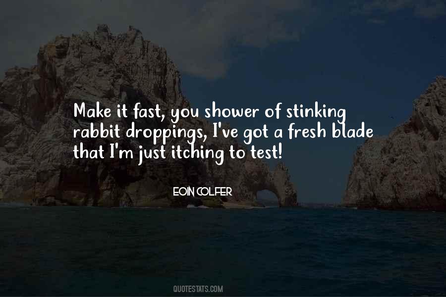 Make It Fast Quotes #1521661