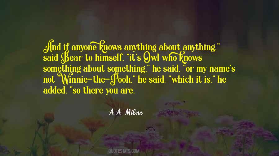 Owl Winnie The Pooh Quotes #1535934