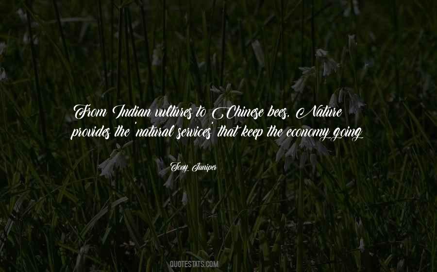 Quotes About Indian Economy #136873