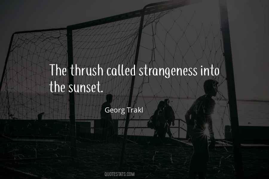 Quotes About Sunset And Birds #555004