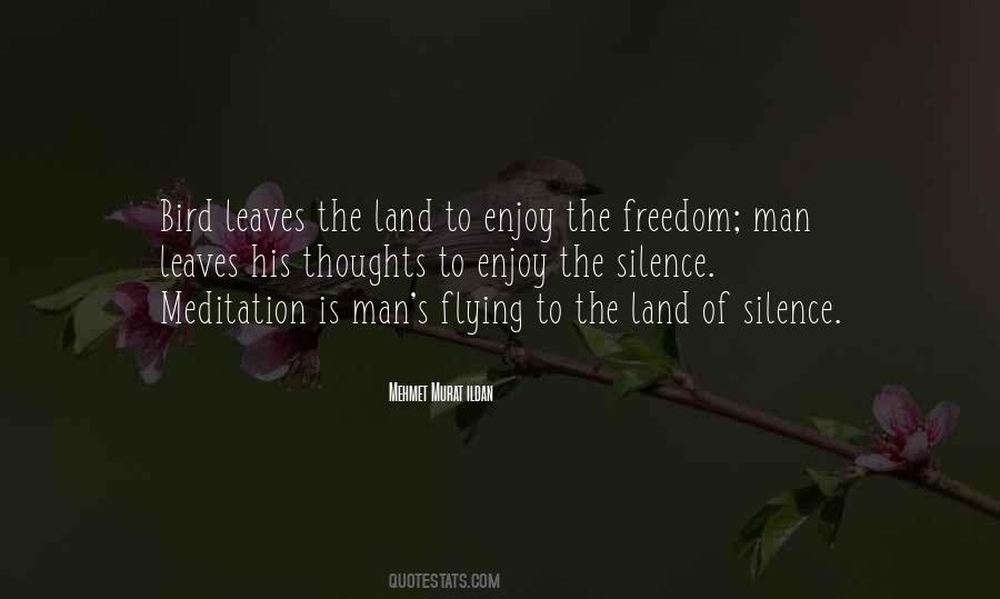 Enjoy Freedom Quotes #403171