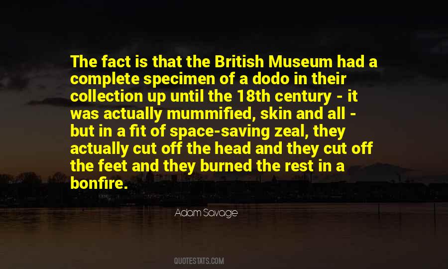 Quotes About A Museum #411652