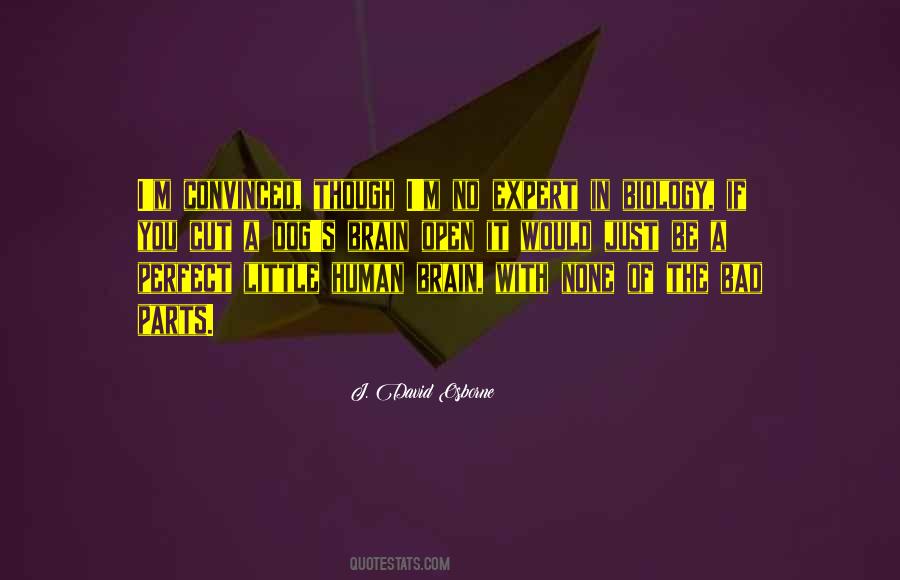 It S Fun And Exciting To Read Quotes #1839666