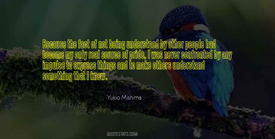 Quotes About Not Being Understood #1003037