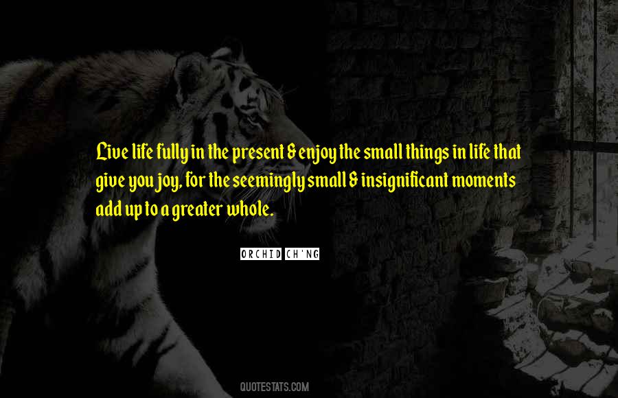 Joy In Small Moments Quotes #1513113