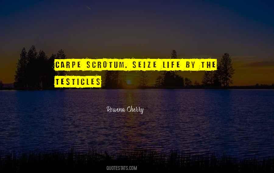 Quotes About The Testicles #1123978