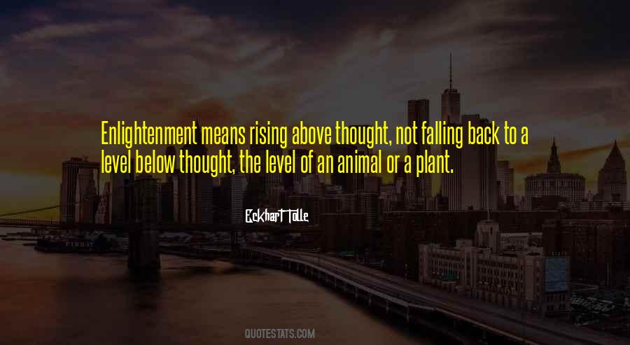 Rising Above It Quotes #183279