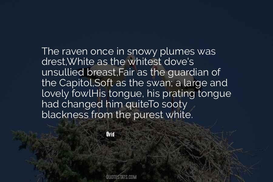 Quotes About Raven #1504029