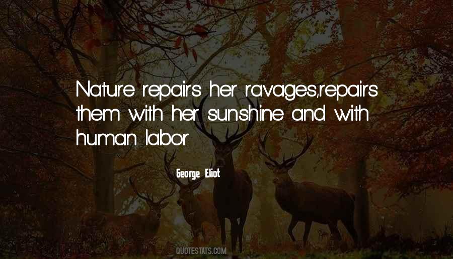 Quotes About Ravages #538876