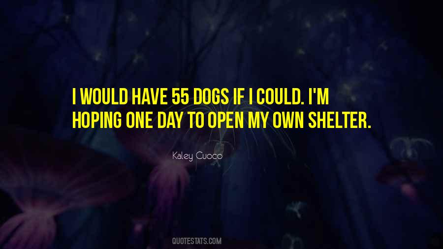 Quotes About Shelter #1044563