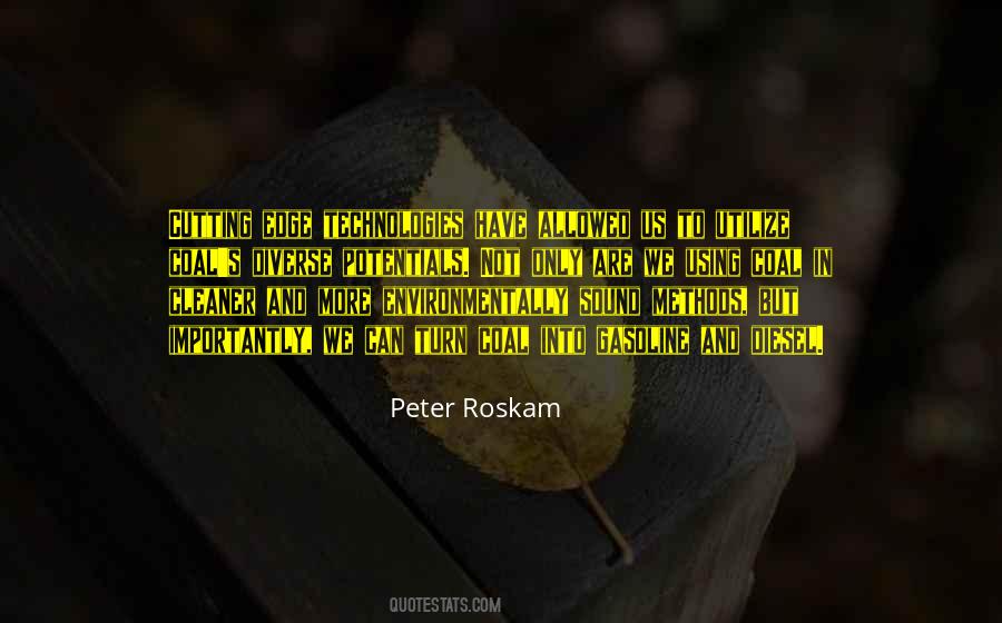 Roskam Quotes #1402684