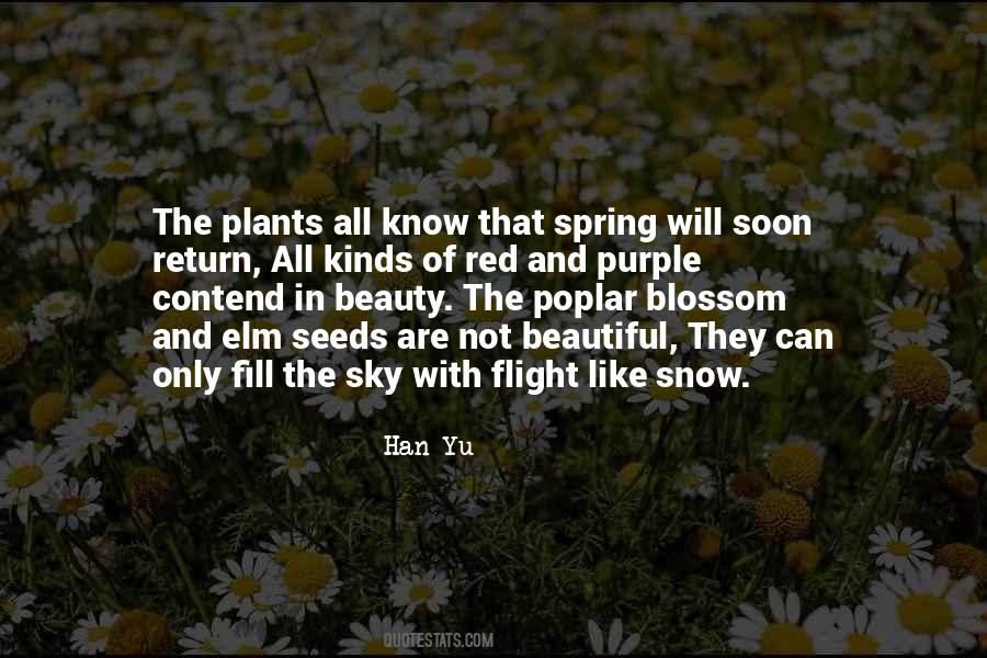 Quotes About Not Beautiful #1542797