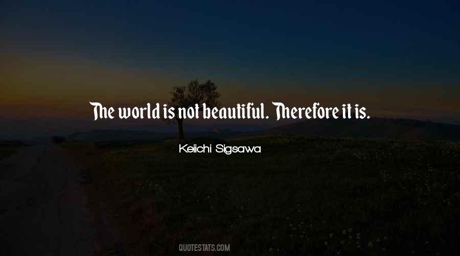 Quotes About Not Beautiful #844597