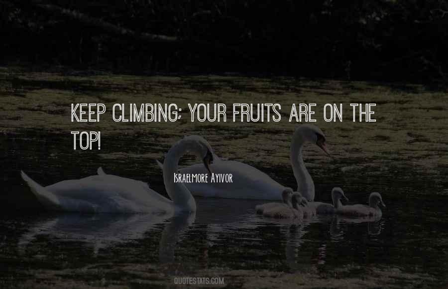 Keep Climbing Quotes #1481250