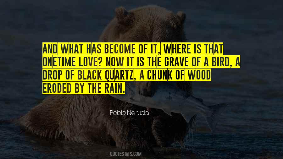 Quotes About Love Pablo Neruda #509623