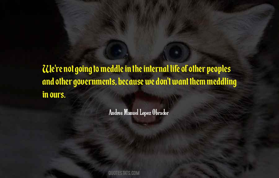 Quotes About Meddling #1228275