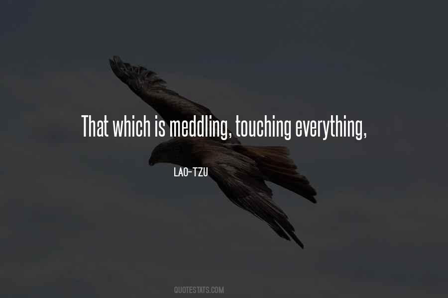 Quotes About Meddling #351594